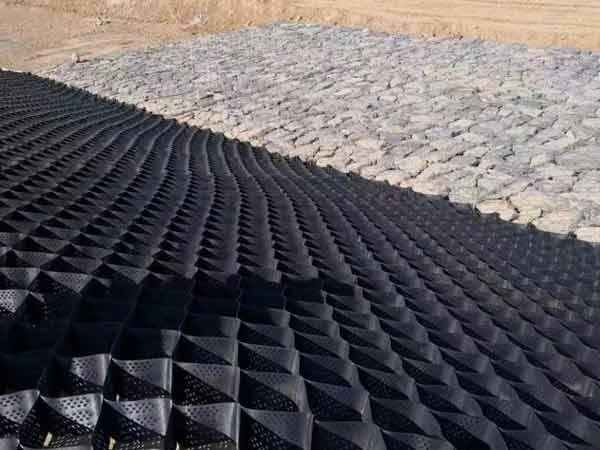 c(din)鿴Ԕ(x)Ϣ(bio)} xΔ(sh)1744