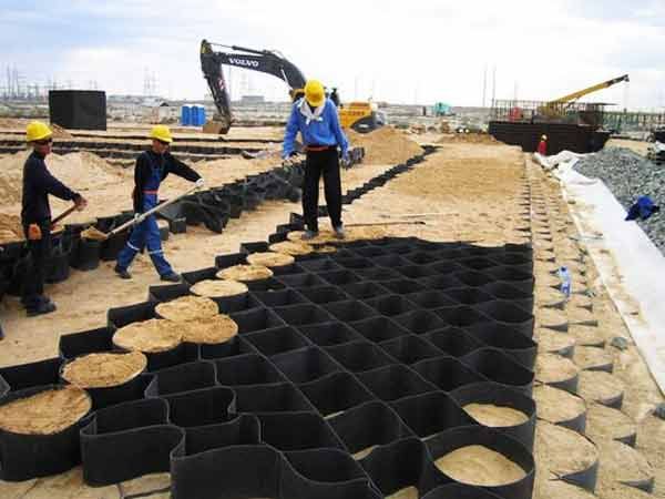 c(din)鿴Ԕ(x)Ϣ(bio)} xΔ(sh)1443