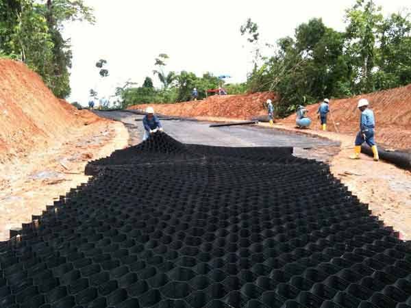 c(din)鿴Ԕ(x)Ϣ(bio)} xΔ(sh)1445